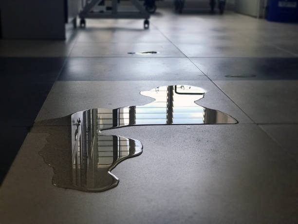 Best Water damage restoration near me  in Groveland, FL