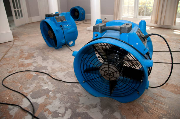 Best Water damage contractors near me  in Groveland, FL