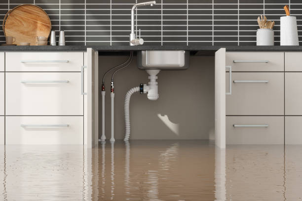 Best Flooded house restoration  in Groveland, FL