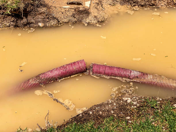 Best Carpet water damage restoration  in Groveland, FL