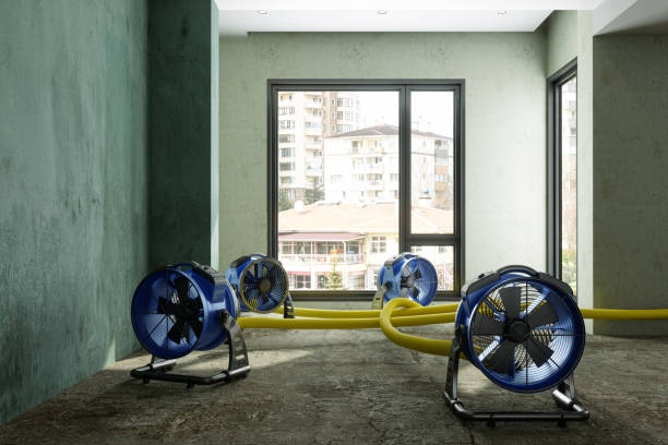 Best 24/7 water damage repair  in Groveland, FL